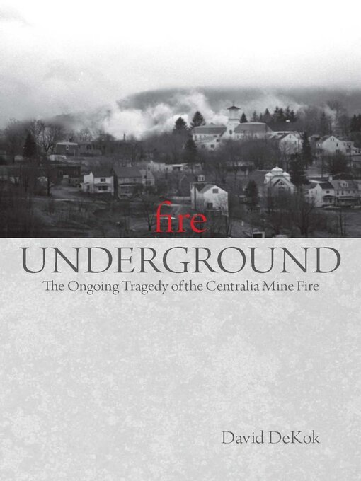 Title details for Fire Underground by David Dekok - Available